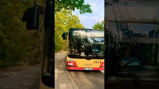 Na Przystanek Jagiellońska Man Lions City