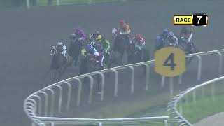 Vidéo de la course PMU PRIX STEPITUP 2015 STAKES