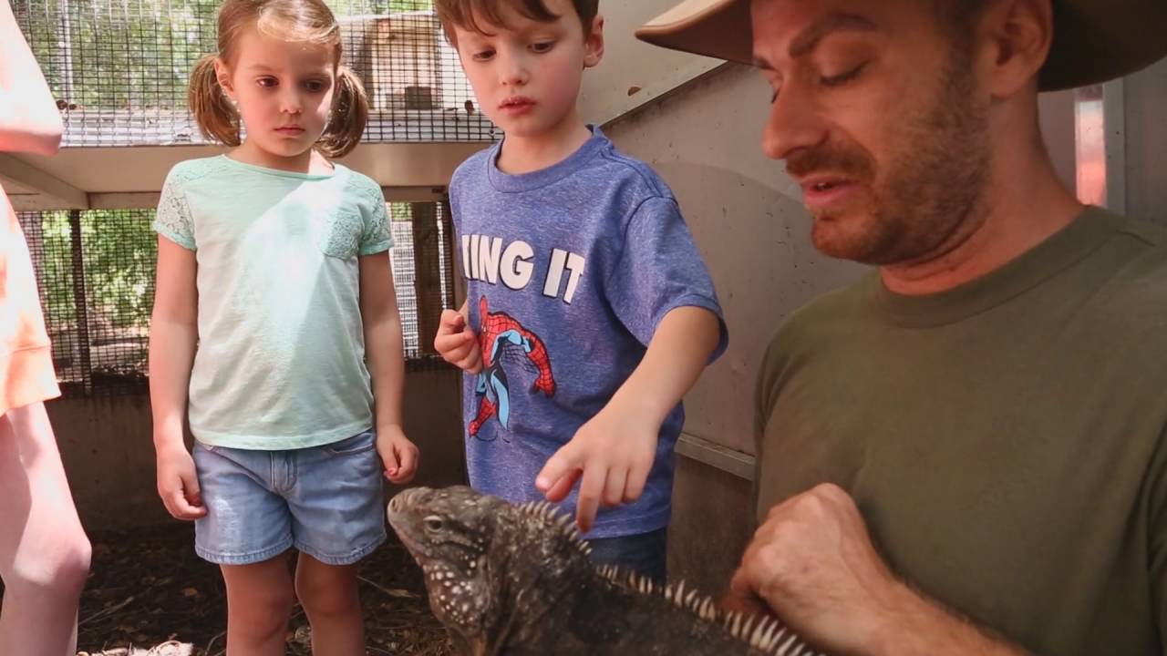 funny video memes Teach Your Children Well About Reptiles : Kamp Kenan S3 Episode 35