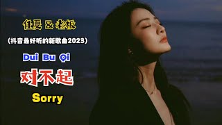 任夏 & 老板 - 对不起 (抖音最好听的新歌曲2023) Dui Bu Qi【Maaf/Sorry】- Lirik Pinyin Terjemahan Indonesia || New Song