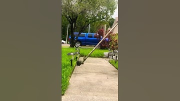 Edging lawn with string trimmer #lawncare #shorts #satisfying #lawnlifemowing