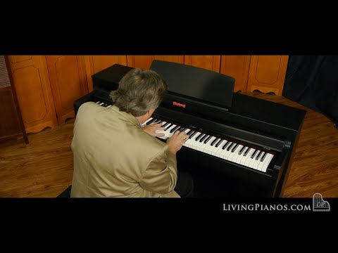 Flychord Digital Piano For Sale - Model Dp420K - Living Pianos