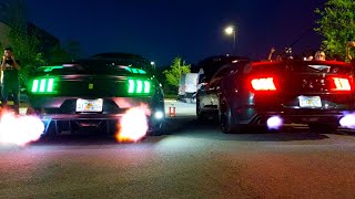 "Battle of The Stangs" Wild Ford Mustang Exhaust Sound Face-Off