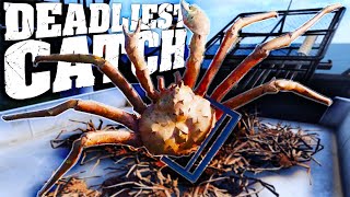 Deadly King Crab Fishing On The Bering Sea - Crab Fishing Simulator - Deadliest Catch The Game screenshot 3