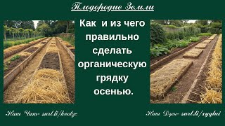 Осенняя подготовка органических грядок № 78/25