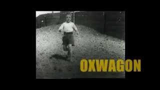 Ave! - Oxwagon