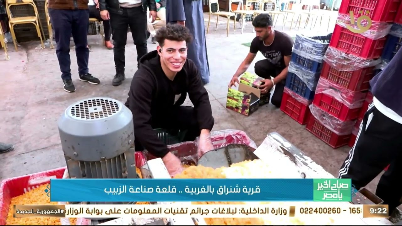 قرية شنراق بالغربية.. قلعة صناعة الزبيب