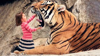 Девочка в одиночку выкормила осиротелого тигрёнка, не осознавая что он потом сотворит