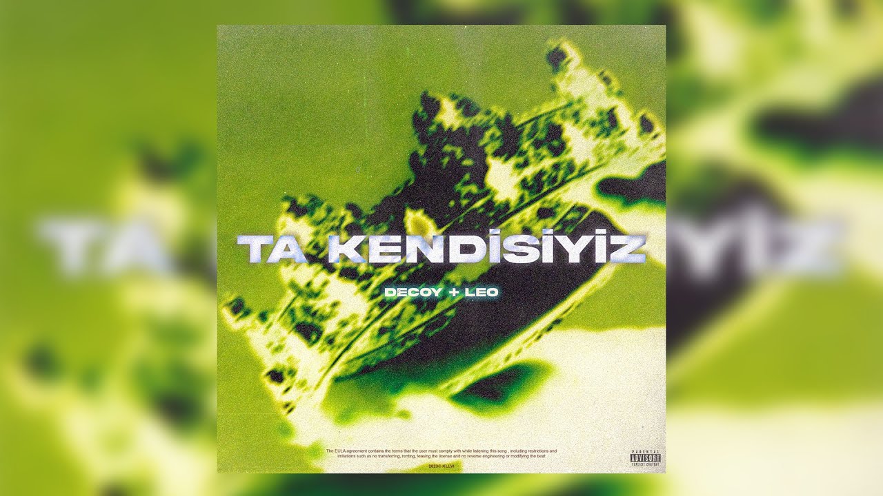 Decoy & Leo - Ta Kendisiyiz