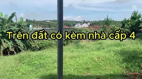 BÁN ĐẤT SÀO KÈM NHÀ CẤP 4 PHAN ĐÌNH PHÙNG, LỘC TIẾN, BẢO LỘC, LÂM ĐỒNG