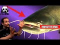 Russian fishing 4  achtuba  monster drill beim wels angeln