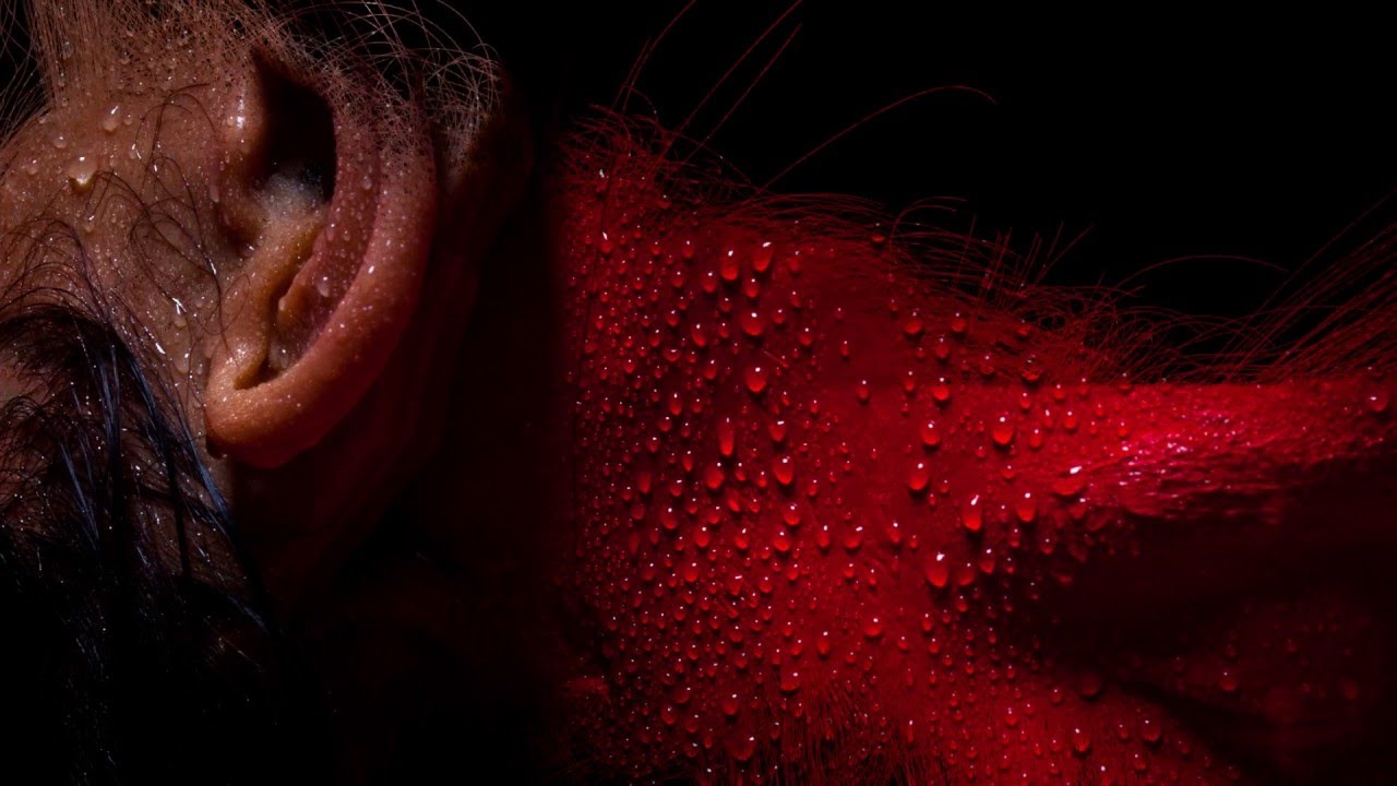SEVDALIZA - HERO adlı videoyu YouTube'da izle SEVDALIZA - HERO adlı videoyu YouTube'da izle