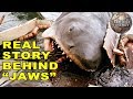 The Matawan Man-Eater | The Inspiration for Jaws