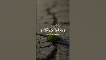 تلاوه خاشعه للشيخ فايح الحارثي ♥️🎧 #اكسبلور #تلاوة_خاشعة #راحة_نفسية #لايك #quran #المصحف #تلاوات