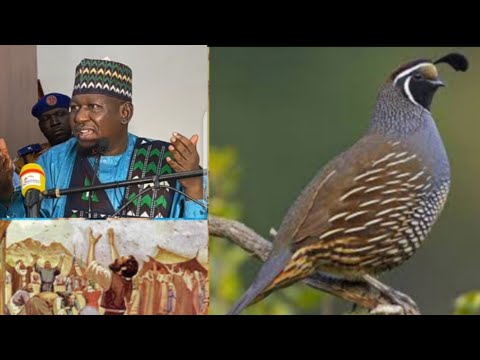Yahudu Tuba Babu Dubi Yadda Aka Riqa Saukorwa Banu Israa Ila Abinci Daga Sama Sheikh Kabiru Gombe