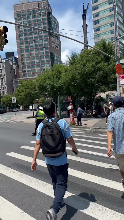 Manhattan New York #shortvideo #youtubeshort #youtubeshort #travel #timessquare #song #flowers