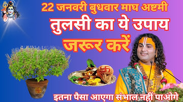 22 जनवरी माघ बुधवार अष्टमी को तुलसी का ये उपाय जरूर करें | होगी हर मनोकामना पूरी