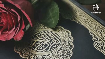 سورة المنافقون.