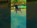 Untitled video