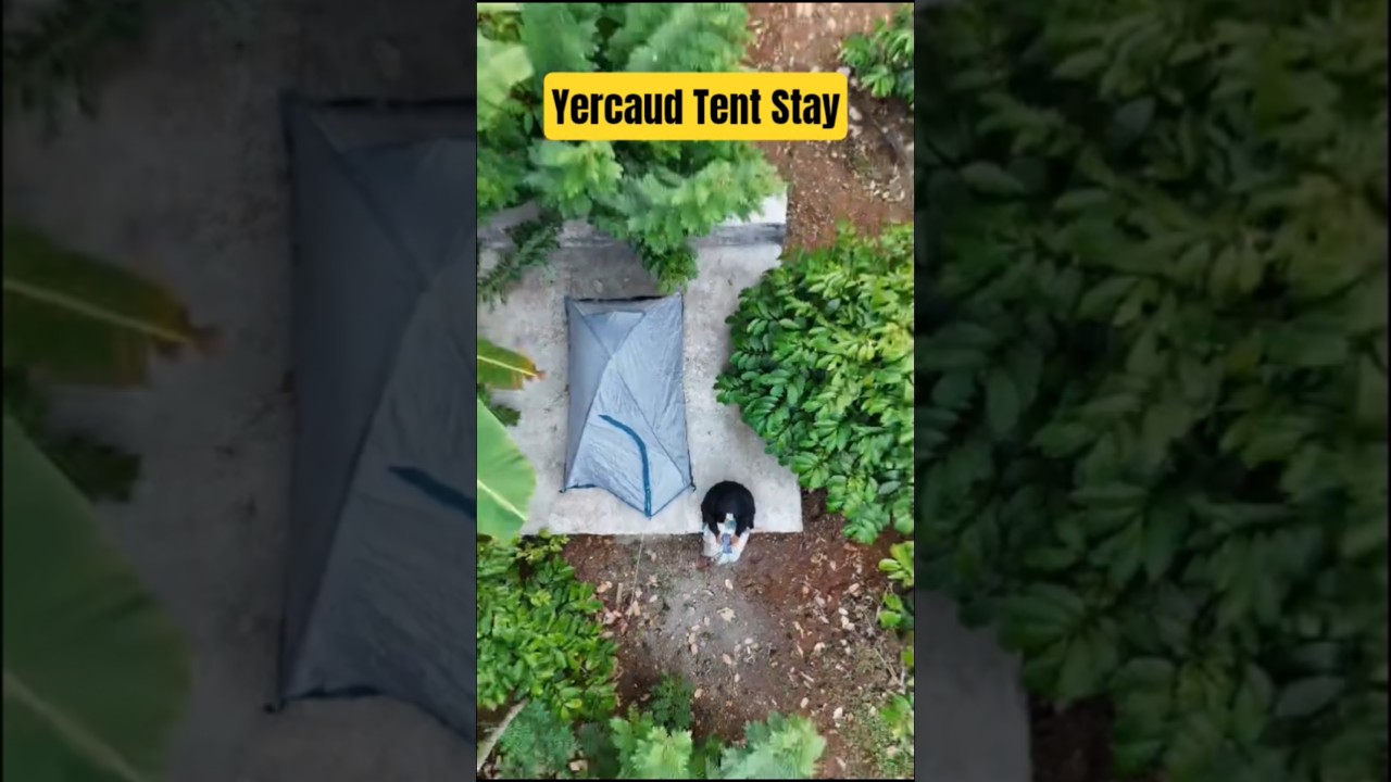 ₹700 ரூபாய்க்கு ஏற்காட்டில் Tent Stay! நம்ப முடியல! உடனே வாங்க! 🏞️ 