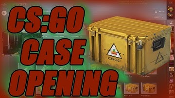 KNIFE OPENING??? (CS:GO Prisma Case Opening)