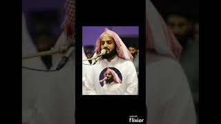 Surah Al Ankaboot  Verse 41 |Sheikh Raad Bin Muhammad Al Kurdi | Eng|UR Subtitles