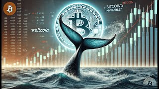 Why Bitcoin Will Skyrocket Again—The Whale Secret Revealed! 🐋🚀