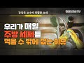 우리가 세제를 먹을 수 밖에 없는 이유