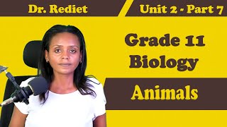 Grade 11 Biology Unit 2 Animals  Part 7| Dr. Rediet