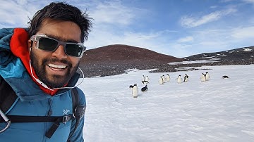 Stanford researchers develop multi-drone system to autonomously count penguins