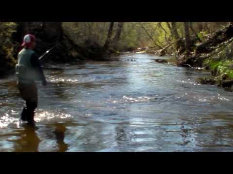Fishing with: "Meppsman" Ted Alan Najzer for Spring Steelhead 2010 DVD Intro