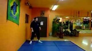 Failed wall flip attempt #1