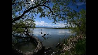 Spring. Sloan's Lake Park, Denver, Colorado, USA @Gennady107