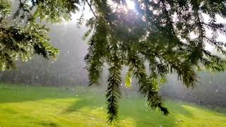 Oymalık Tabiat Parkı - Koyulhisar