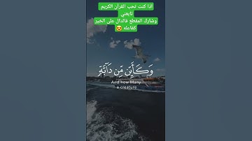 #تلاوة_خاشعة #قرآن_كريم #سكينة #طمأنينة #رمضانمبارك #اكسبلور