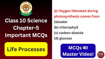 Class 10 Life Processes MCQs – 100% Exam-Based Questions You Can’t Miss!