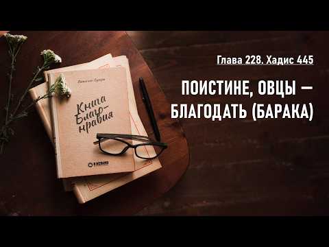 228. Книга благонравия. Хадис 445. ПОИСТИНЕ, ОВЦЫ — БЛАГОДАТЬ (БАРАКА)