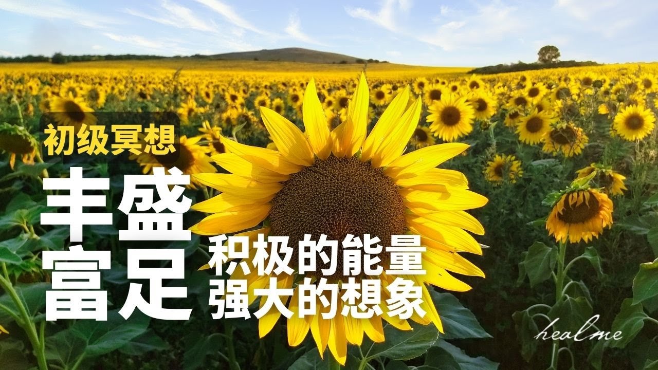 【简短强大】财富引导冥想｜获得丰盛富足｜HealMe冥想