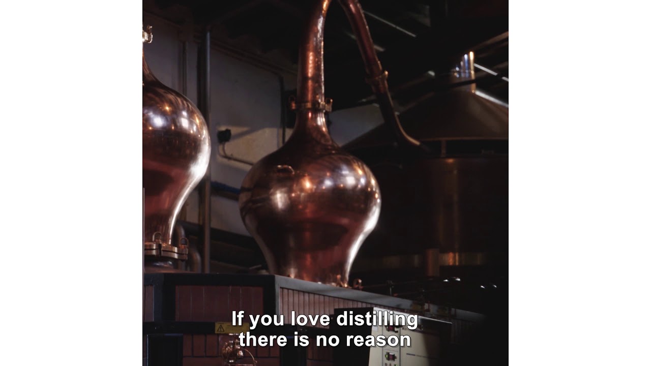 Culture Cognac - The transmission