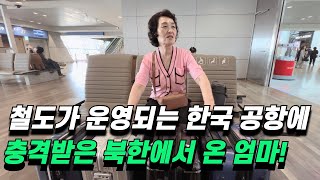 김포공항에서 한국의 비행기 종류가 너무 많아서 충격받은 북한엄마!