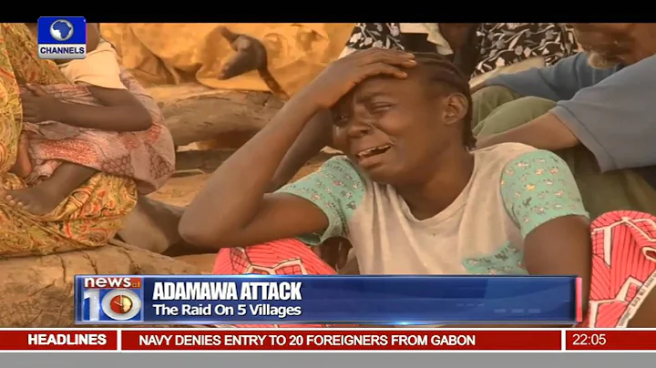 News@10: Boko Haram Terrorists Raid 5 Villages In Adamawa State -- 24/01/16 Pt. 1