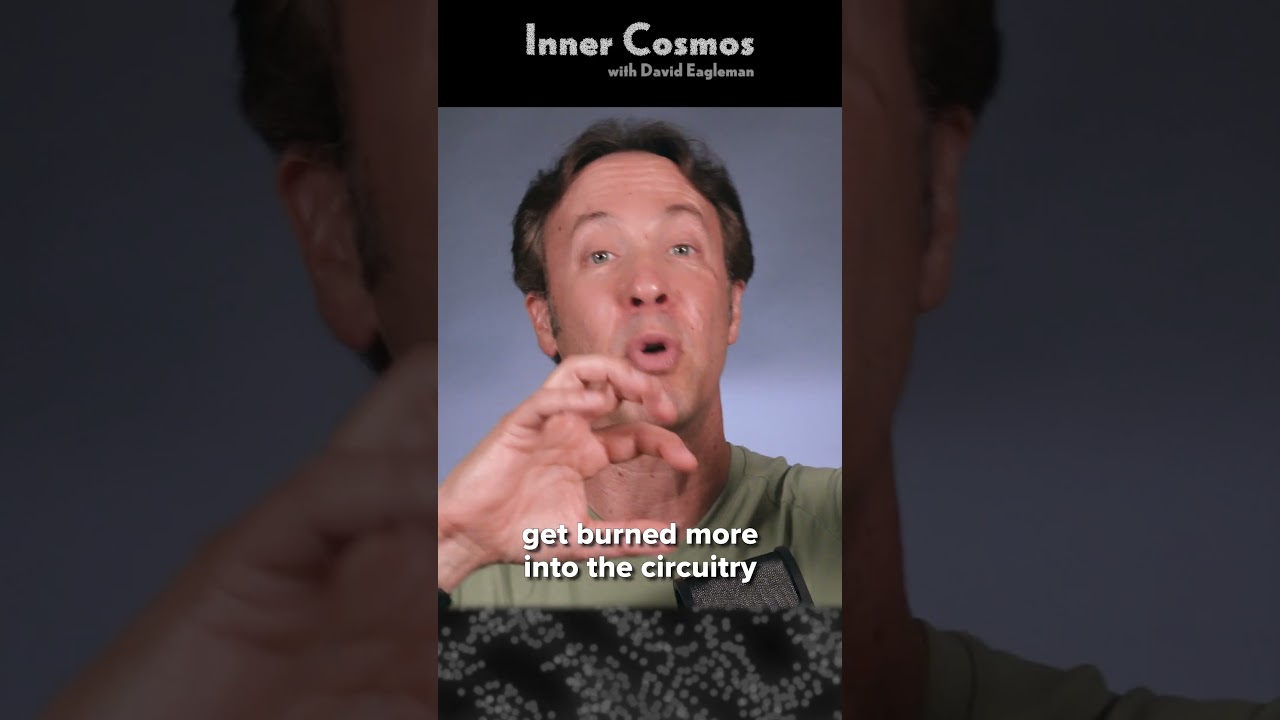 Ретроградная амнезия | Внутренний космос с Дэвидом Иглменом 