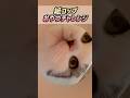 紙コップおやつチャレンジ!