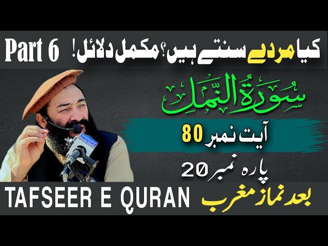 Tarjuma & Tafseer Surah Namal Para 20 Ayat 80 (Part 6) || Mufti Munir Shakir Official class=