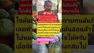 remix dj edm  sound news allahallah automobile