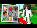 I 10 OGGETTI PIÚ RARI DI MINECRAFT