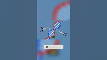 Potential Cure for HIV AIDS: Revolutionary CRISPR Cas IX Technology.