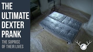 The ULTIMATE Dexter Prank