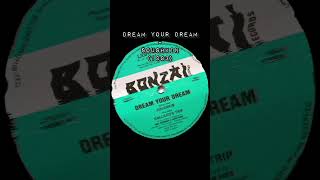 Dream Your Dream – Soushkin (1993) (Bonzai) #90stechno #90shardcore #oldschooltechno #hardcoretechno