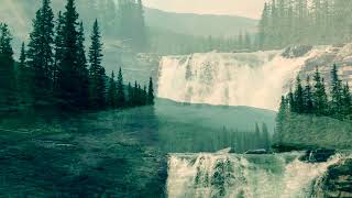 Lv.100 Water Fall Ear